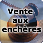 Vente aux enchères